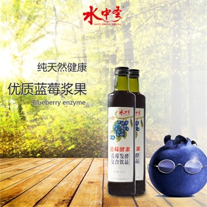 水中圣牌蓝莓发酵复合饮品