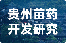 贵州康之和苗药研发有限公司