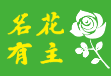 X-kangshenwang 预定